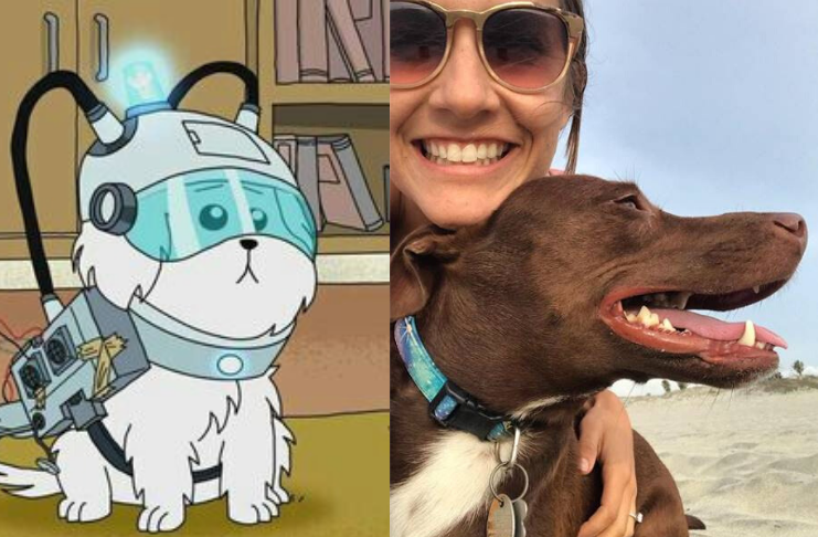 Cachorro "fala" mais de 20 palavras com o uso de tecnologia