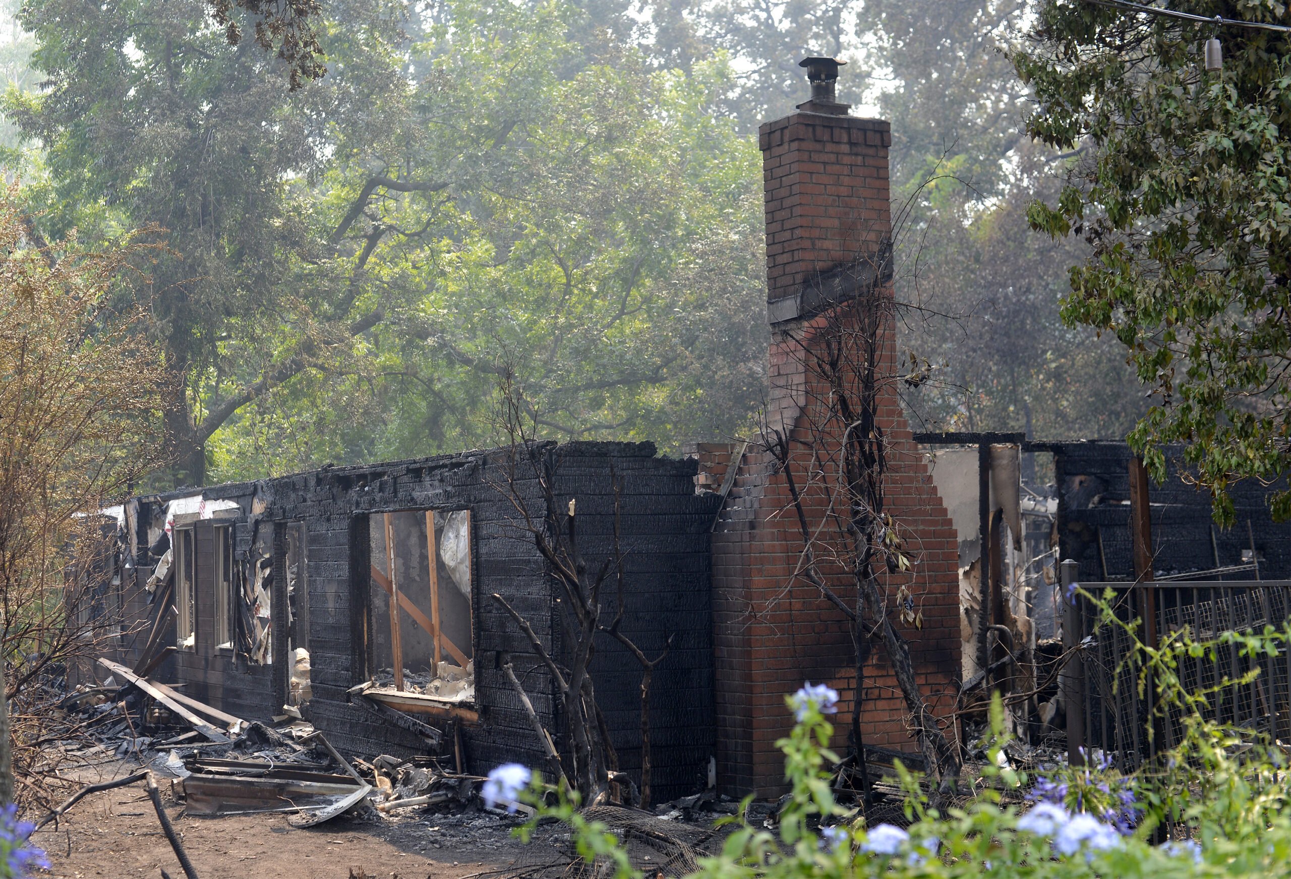 Homem apaga incêndio na California com cerveja