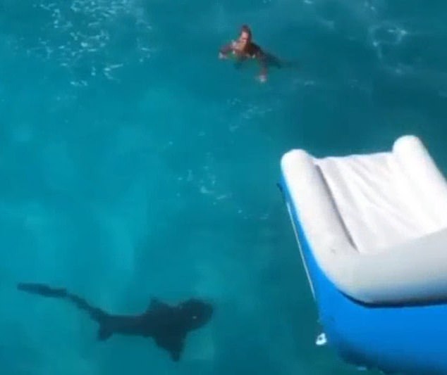 Mulher desce em escorregador no meio do mar e cai bem ao lado de um Tubarão Lixa
