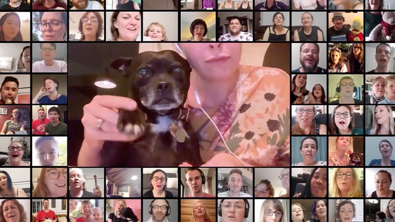 Empresa australiana promove um coral no qual cachorros irão 'cantar' música do Imagine Dragons