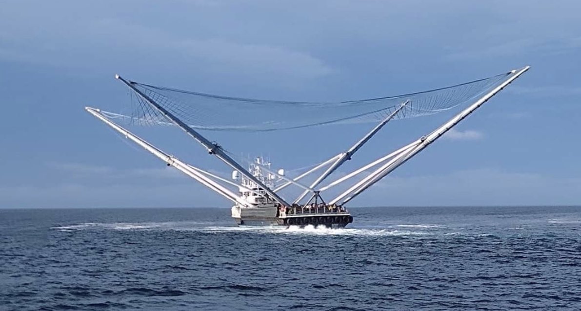 Elon Musk posta no Twitter um curioso vídeo de navio capturando partes do Falcon 9