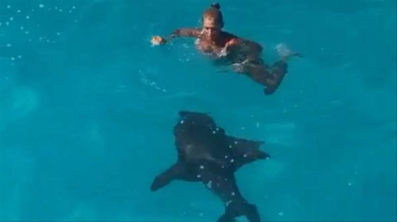 Mulher desce em escorregador no meio do mar e cai bem ao lado de um Tubarão Lixa