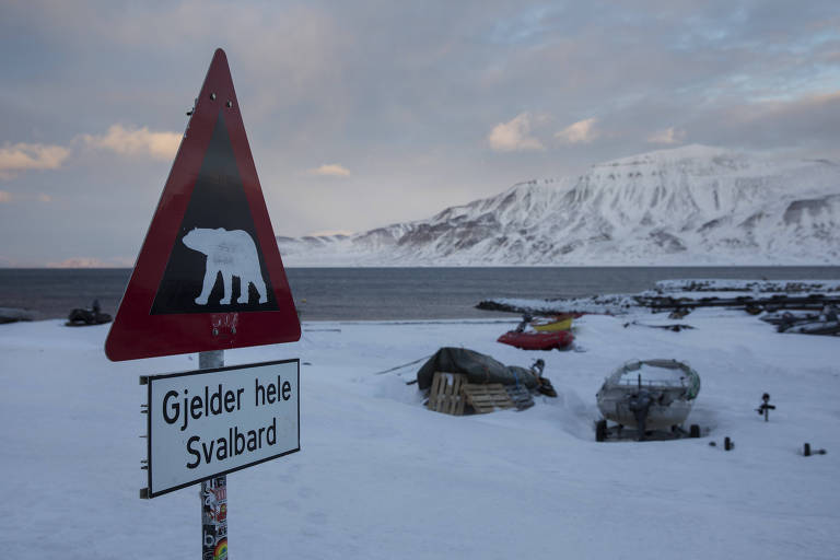 Homem é arrastado de sua cabana e morto por urso polar na Noruega