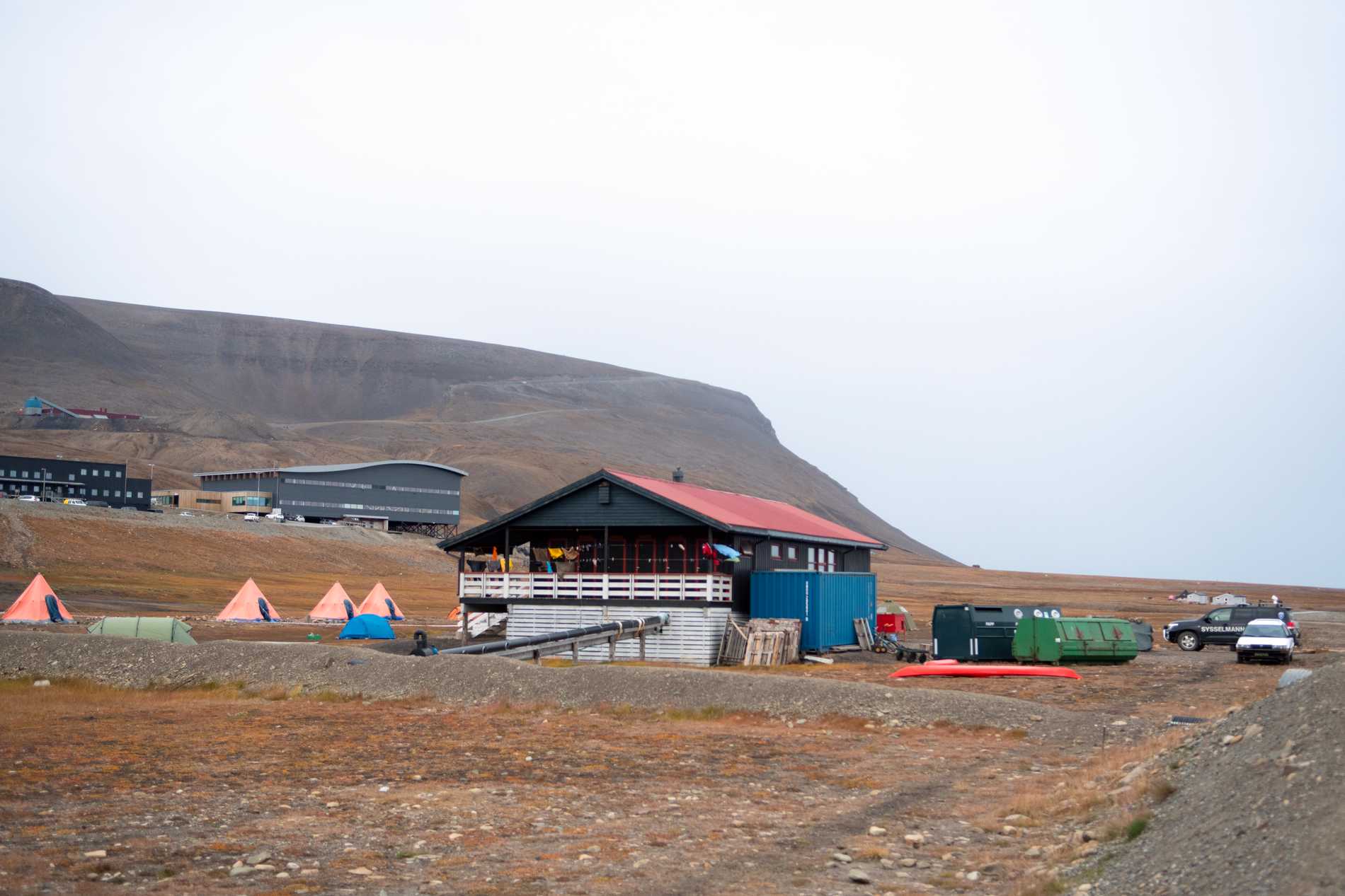 Homem é arrastado de sua cabana e morto por urso polar na Noruega