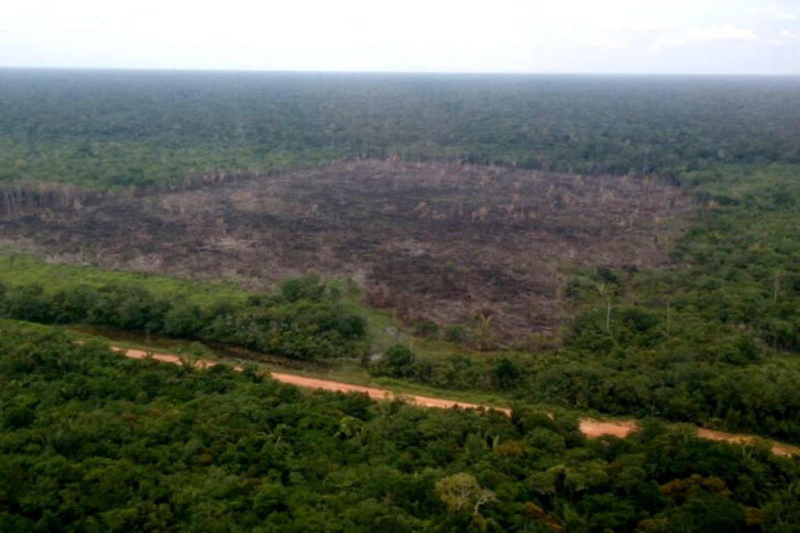 Floresta Amazônica sofre o pior começo de temporada de incêndios da última década