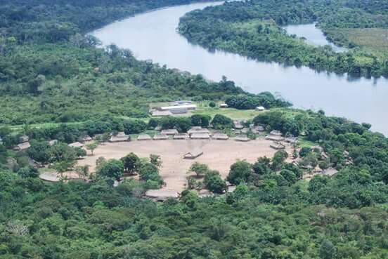 Tribos indígenas brasileiras se unem para proteger a floresta amazônica