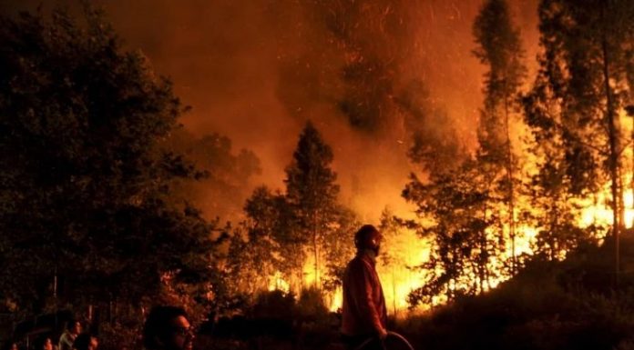 Floresta Amazônica sofre o pior começo de temporada de incêndios da última década
