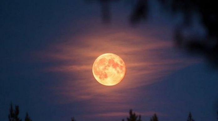 Reino Unido presencia o espetáculo da Lua de Milho