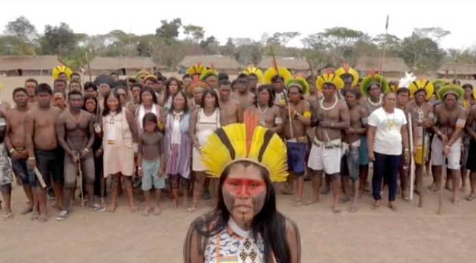 Tribos indígenas brasileiras se unem para proteger a floresta amazônica
