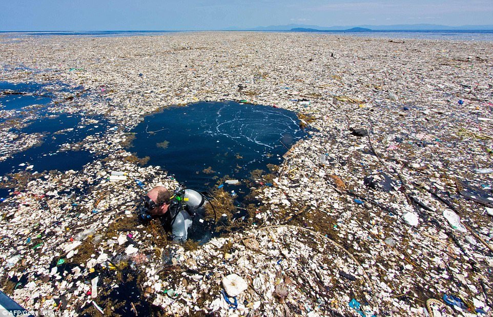 Dispositivo de limpeza é usado para coletar plástico no oceano