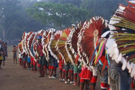 Tribos indígenas brasileiras se unem para proteger a floresta amazônica