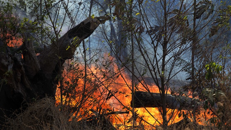 Floresta Amazônica sofre o pior começo de temporada de incêndios da última década