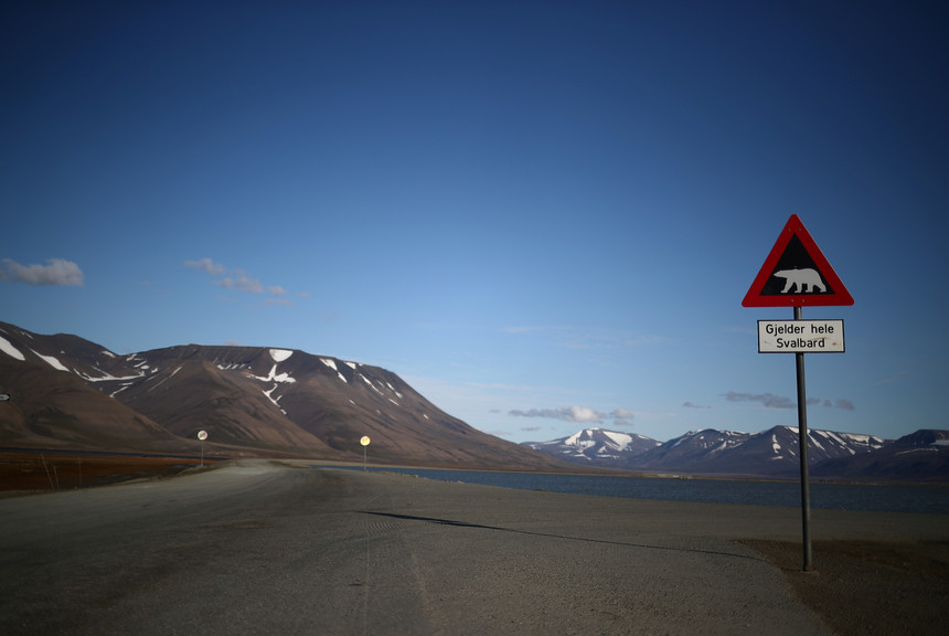 Homem é arrastado de sua cabana e morto por urso polar na Noruega