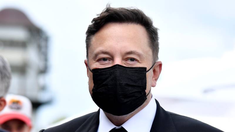 Elon Musk diz que a cidade marciana será "gloriosa", mas os colonizadores podem morrer