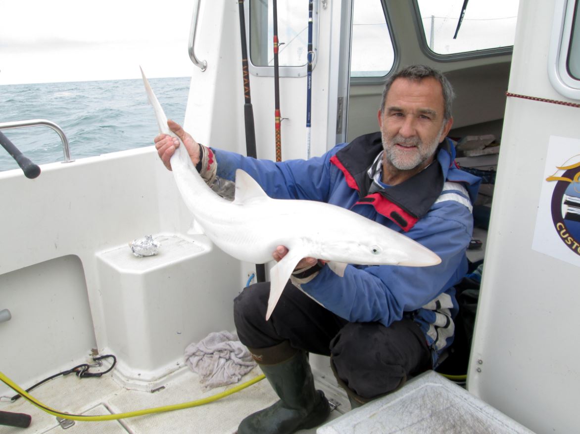 Pescador da Grã-Bretanha captura um tubarão todo branco que não era albino