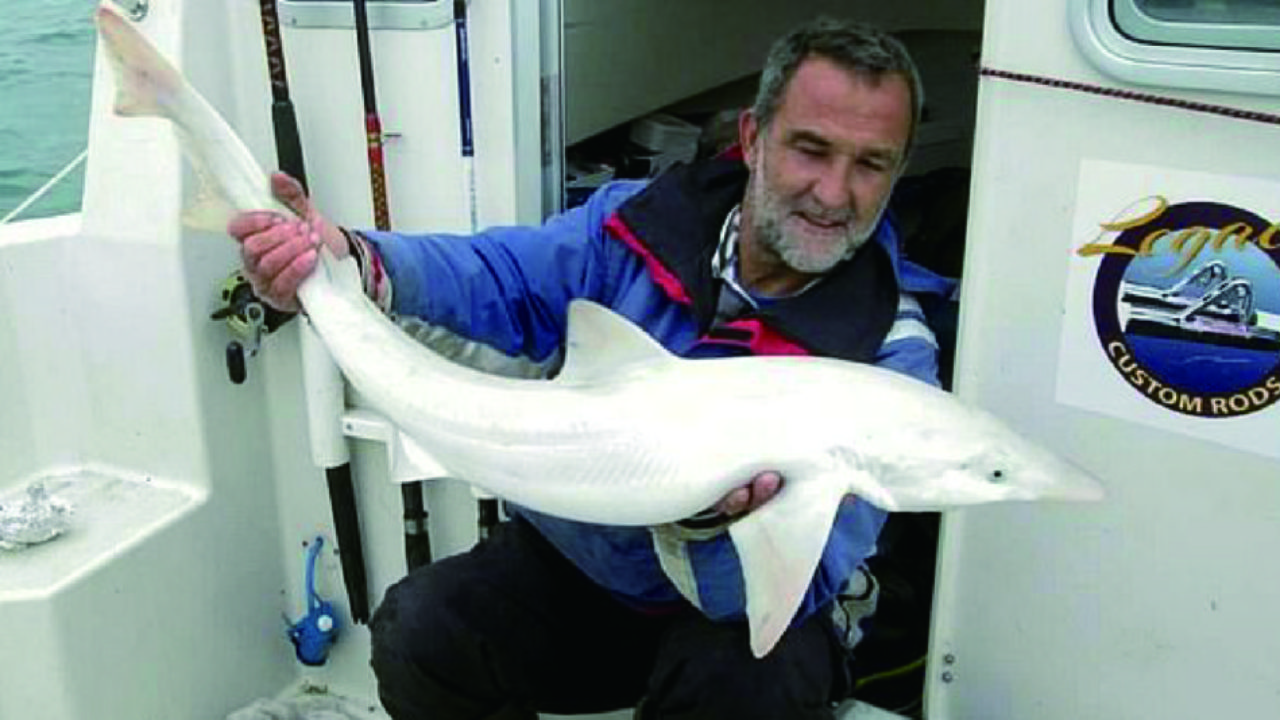 Pescador da Grã-Bretanha captura um tubarão todo branco que não era albino