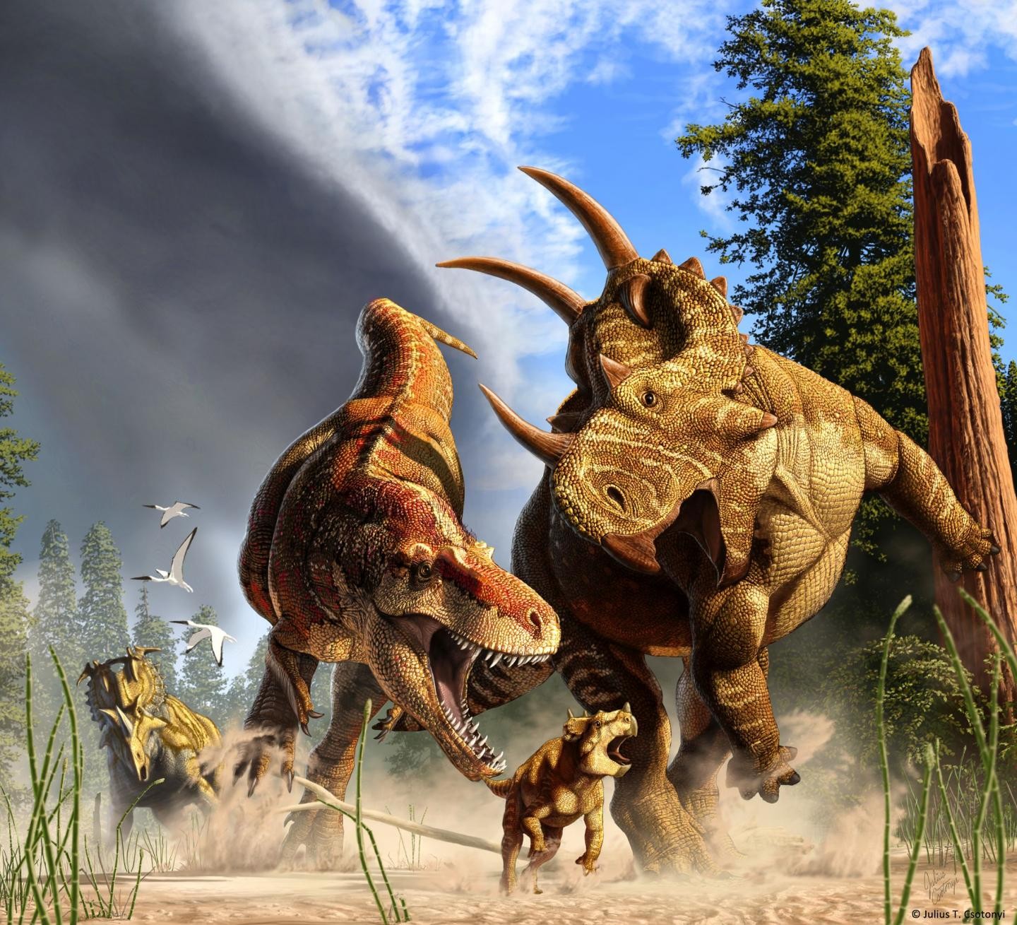 Cientistas buscam pela verdade por trás dos Duelos de Dinossauros