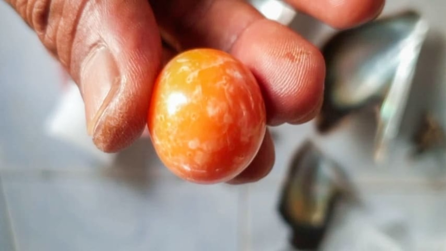 Pescador encontra uma rara pérola laranja que pode valer até 250.000 Euros