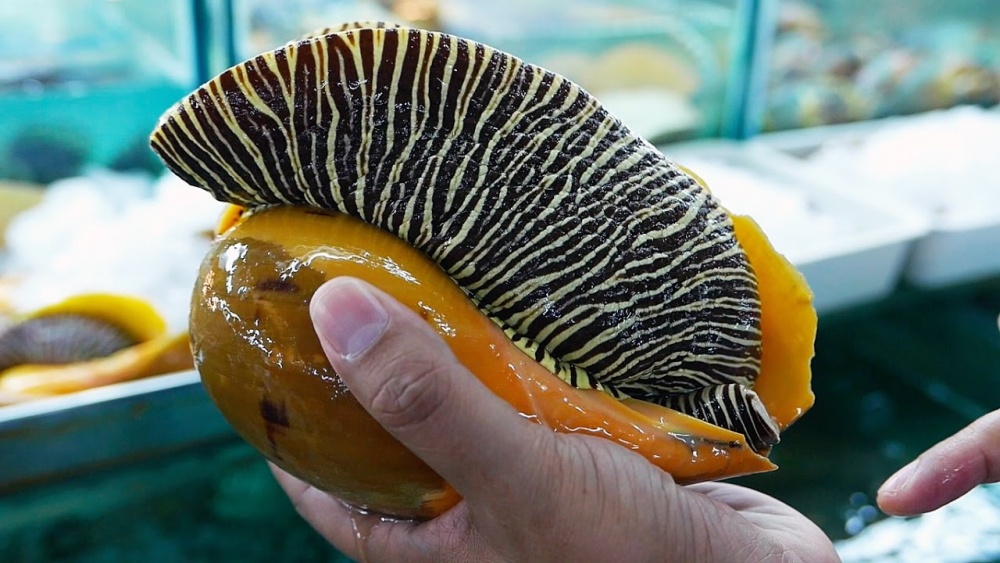 Pescador encontra uma rara pérola laranja que pode valer até 250.000 Euros