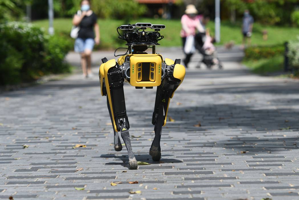 Cão robô inspecionando destroços do SpaceX faz lembrar episódio de Black Mirror